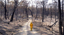 Results of a Fire.