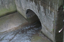 Water runoff.